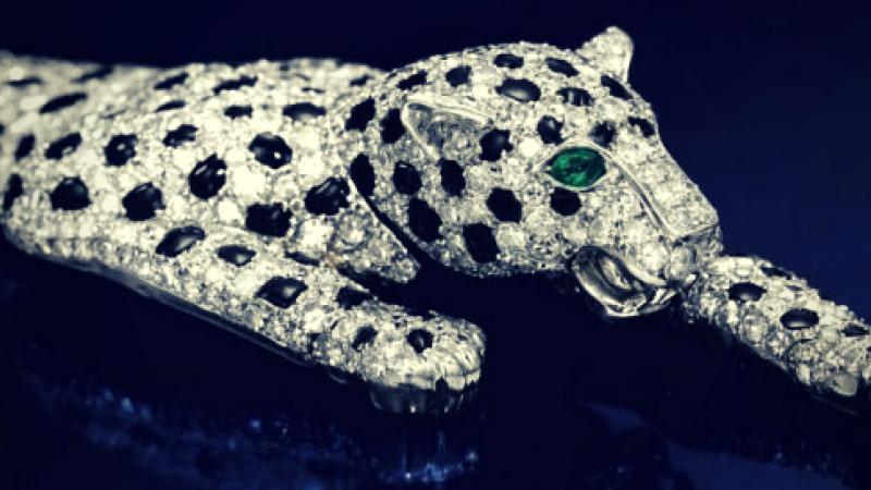 Most Expensive Thing In The World